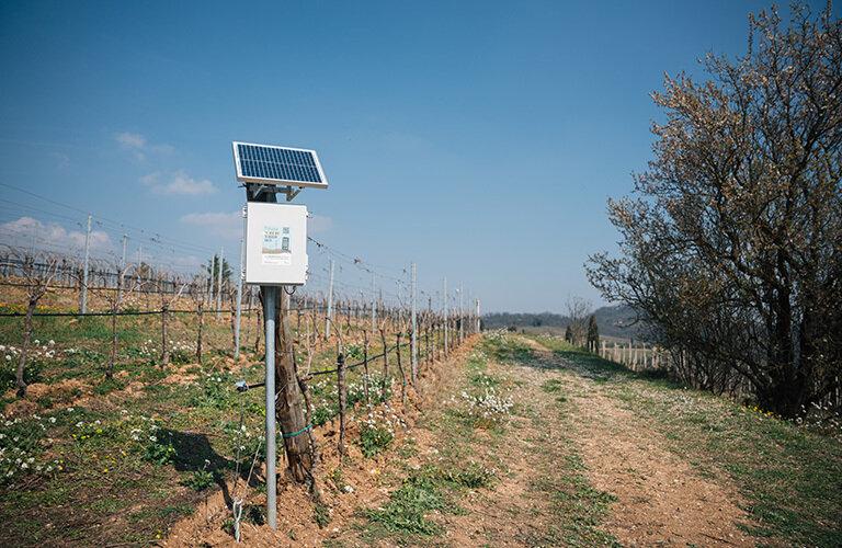 Raggi cosmici al servizio dell’irrigazione dei campi con FINAPP | Crédit Agricole Raggi cosmici al servizio dell’irrigazione dei campi con FINAPP | Crédit Agricole