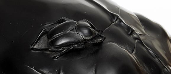 Donna tartaruga con scarabeo | Crédit Agricole Donna tartaruga con scarabeo | Crédit Agricole