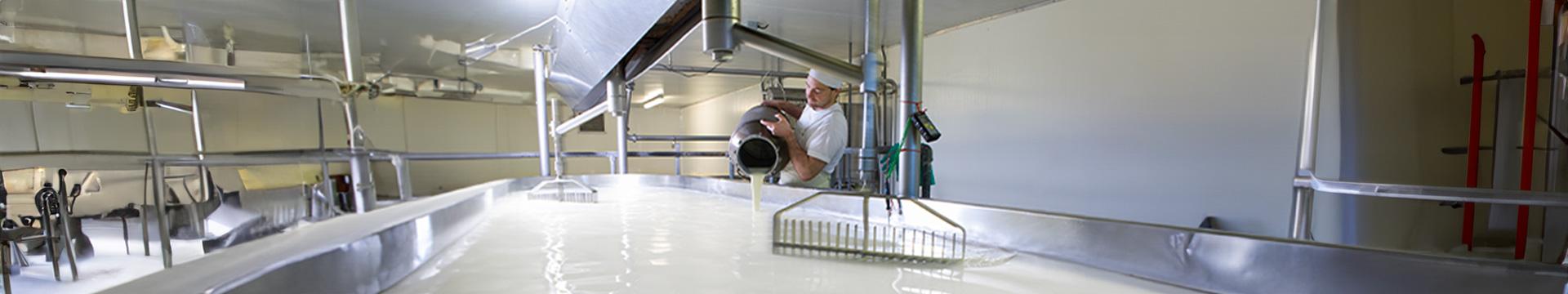 Il latte in Italia fa volare la Dop Economy | Crédit Agricole Il latte in Italia fa volare la Dop Economy | Crédit Agricole