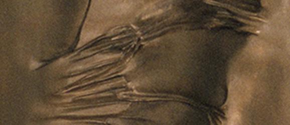 Moneta e la sua traccia positiva e negativa nella storia dell'uomo (traccia negativa) | Crédit Agricole Moneta e la sua traccia positiva e negativa nella storia dell'uomo (traccia negativa) | Crédit Agricole