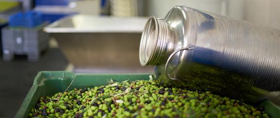 latta di olio | Crédit Agricole latta di olio | Crédit Agricole