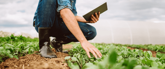 Agriadvisor Lite | Crédit Agricole