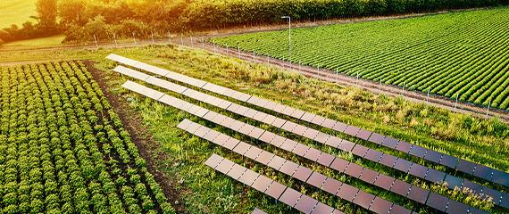 terrazzamento di pannelli fotovoltaici | Crédit Agricole terrazzamento di pannelli fotovoltaici | Crédit Agricole