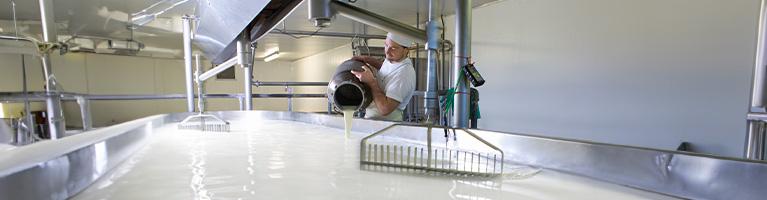 Il latte in Italia fa volare la Dop Economy | Crédit Agricole Il latte in Italia fa volare la Dop Economy | Crédit Agricole